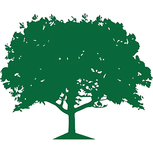 AllTex Landscape & Construction