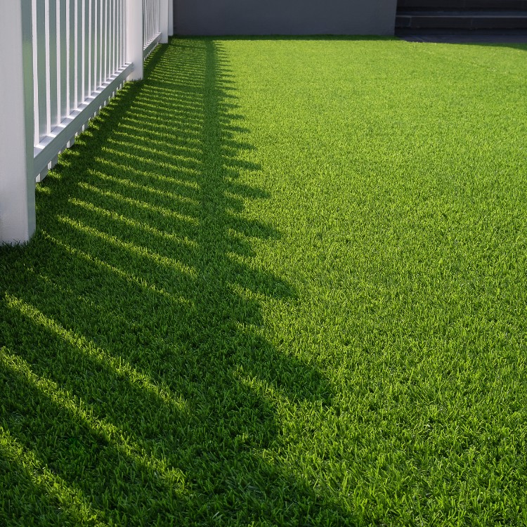 Landscape and Construction in Collin County, TX