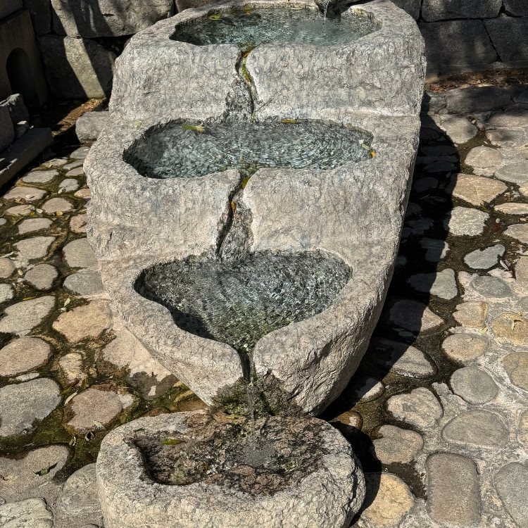 Landscape and Construction in Collin County, TX